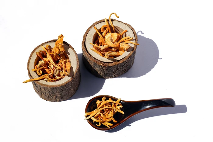 Sušené houby Cordyceps v dřevěných nádobách s lžící.