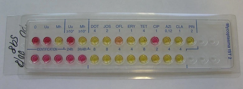 Karta pro identifikaci a test citlivosti na antibiotika mykoplazmat.