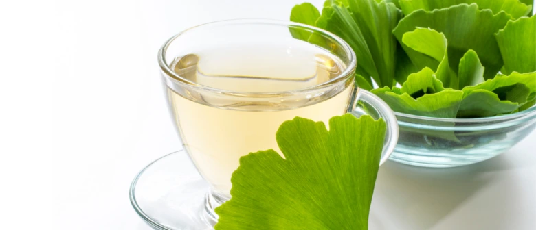 Sklenička s čajem z listů Ginkgo biloba vedle čerstvých zelených lístků.