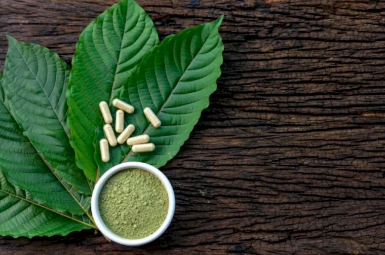 Zelené listy kratomu s práškem v misce na dřevě.