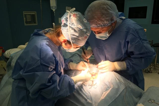 Dva chirurgové operují pacienta v operační sále.