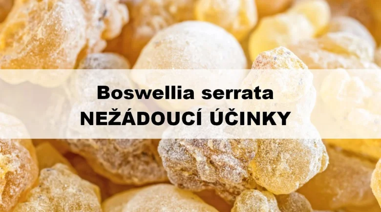 Kousky surového haršáku z boswélie s textem o vedlejších účincích.