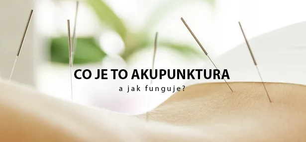 Jehly akupunktury zasazené do lidské kůže na zádech.