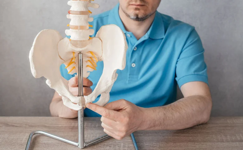 Model pánve a páteře pro fyzioterapeutické vzdělávání.