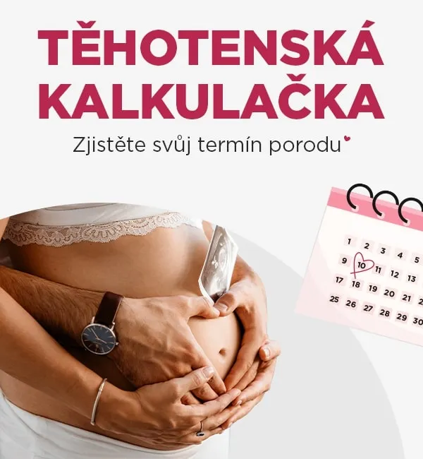 Těhotná žena s kalendářem označujícím termín porodu.