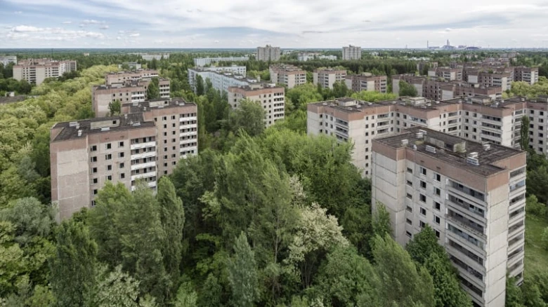 Zaniklé budovy v lese po jaderné havárii